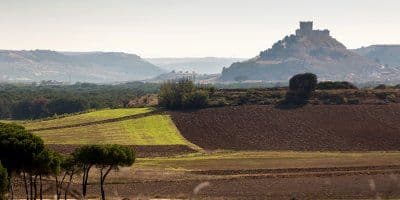 Bodegas y Viñedos Alión