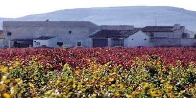 Bodegas Castaño