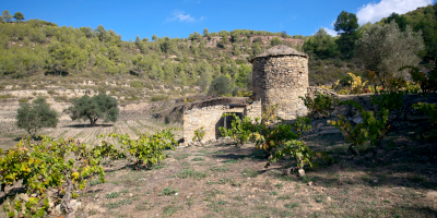 Bodegas Abadal