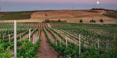 Bodegas Ramón Bilbao